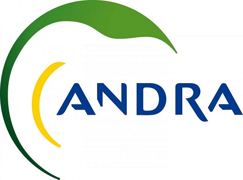 logo_andra2.jpg